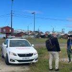 Perro muere quemado en Alerce: municipio denuncia el hecho y lo suma a querella vigente