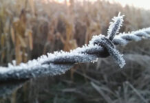 Heladas traerán hasta -5°C este fin de semana en Los Lagos