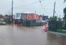 Municipio de Osorno despliega equipos de emergencia en dos puntos críticos de la ciudad por sistema frontal