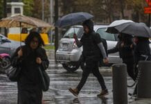 Disponibles en 10 regiones: Apoyos para afiliados de Caja 18 afectados por temporales