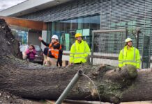 Temuco despliega equipos de emergencia municipal ante el avance del sistema frontal