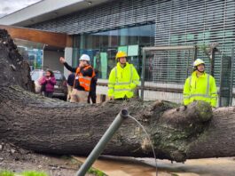 Temuco despliega equipos de emergencia municipal ante el avance del sistema frontal