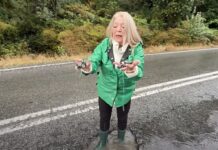 «Ya no da para más»: Alcaldesa de Hualaihué denuncia deterioro crítico de Carretera Austral