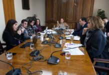 «Ley Alberto»: Senado avanza en batalla contra conductores bajo efectos de alcohol y drogas