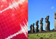 Alerta en Rapa Nui: Senapred declara estado de precaución y ordena evacuar zona de playa tras terremoto 7,7 en Panamá