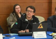 Consejero Cabello solicita acelerar proyectos sobre perros en libre deambular ante aumento de mordeduras y ataques