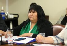 Diputada Nuyado acusa severos recortes en presupuesto indígena para 2027