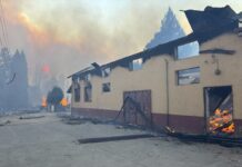 Agricultores de Malleco piden fiscal exclusivo para investigar incendios intencionales