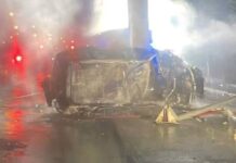 Trágico accidente y posterior incendio en peaje norte de Puerto Varas: madre fallece y su hijo resulta lesionado